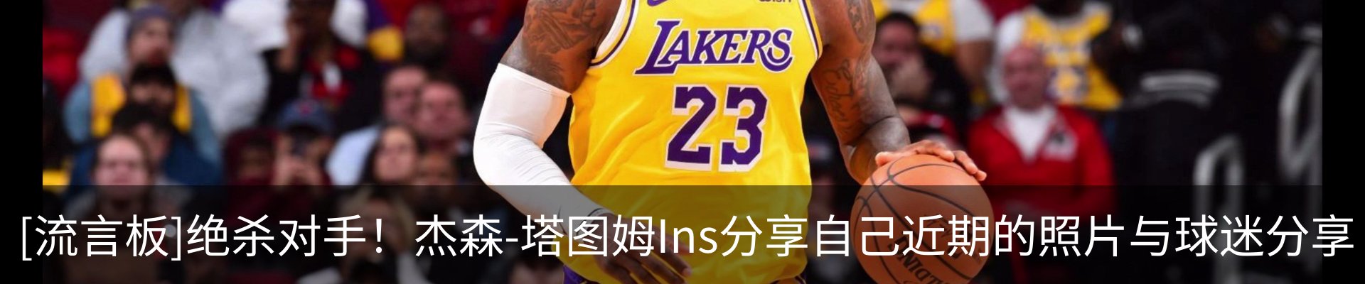 最新动态